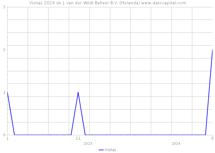 Visitas 2024 de J. van der Wildt Beheer B.V. (Holanda) 