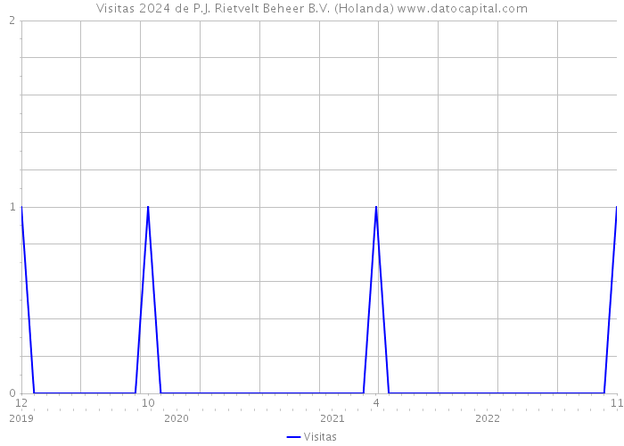 Visitas 2024 de P.J. Rietvelt Beheer B.V. (Holanda) 