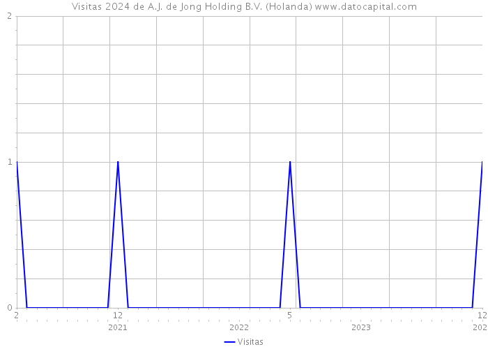 Visitas 2024 de A.J. de Jong Holding B.V. (Holanda) 