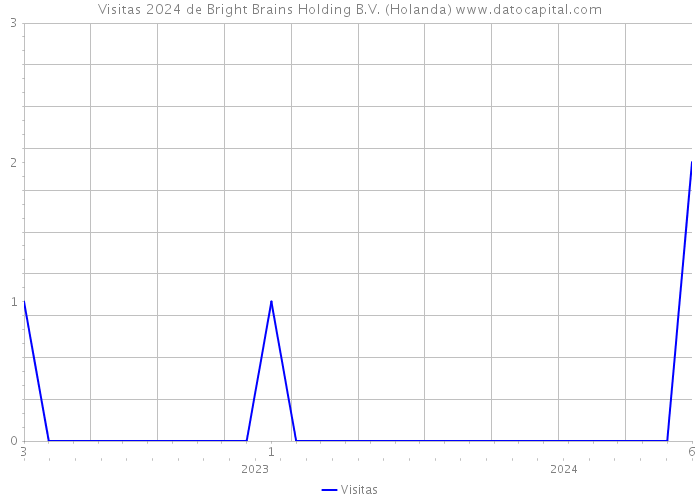 Visitas 2024 de Bright Brains Holding B.V. (Holanda) 