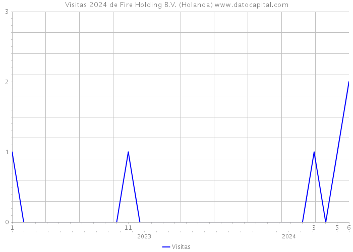 Visitas 2024 de Fire Holding B.V. (Holanda) 