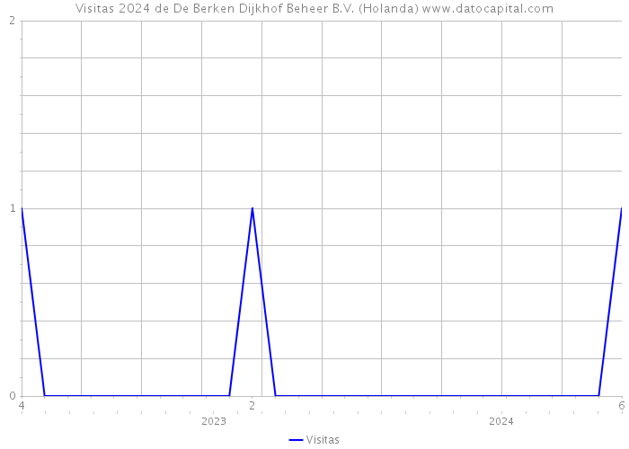 Visitas 2024 de De Berken Dijkhof Beheer B.V. (Holanda) 