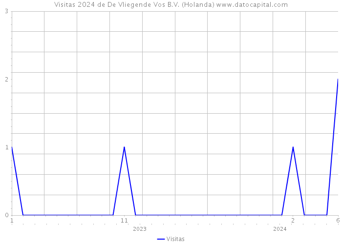 Visitas 2024 de De Vliegende Vos B.V. (Holanda) 