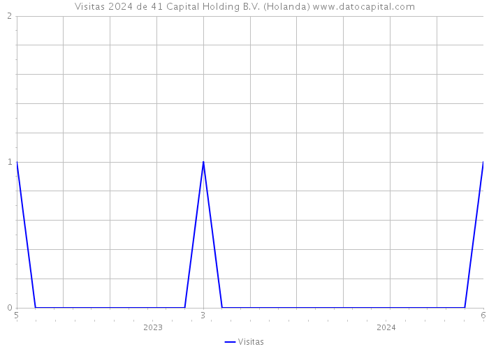 Visitas 2024 de 41 Capital Holding B.V. (Holanda) 