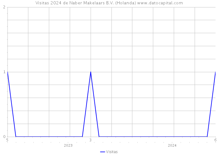 Visitas 2024 de Naber Makelaars B.V. (Holanda) 