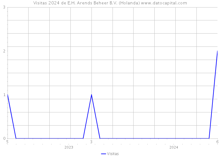 Visitas 2024 de E.H. Arends Beheer B.V. (Holanda) 