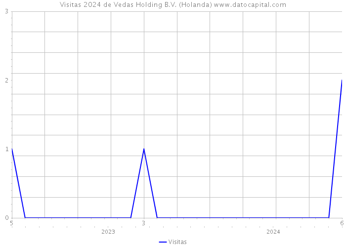 Visitas 2024 de Vedas Holding B.V. (Holanda) 