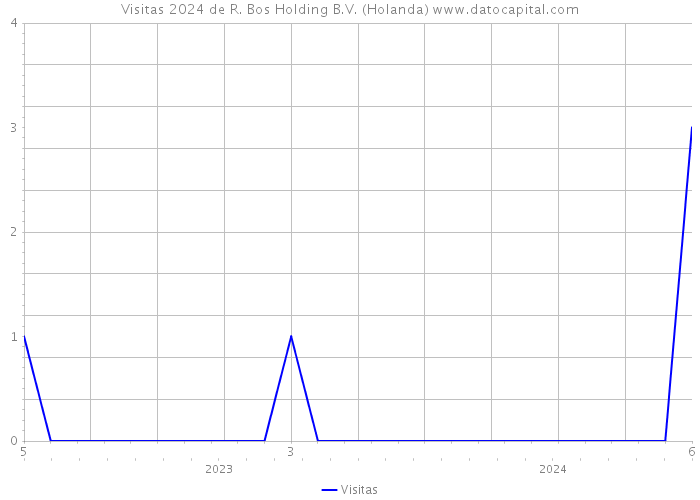 Visitas 2024 de R. Bos Holding B.V. (Holanda) 