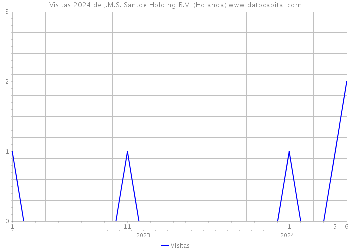 Visitas 2024 de J.M.S. Santoe Holding B.V. (Holanda) 