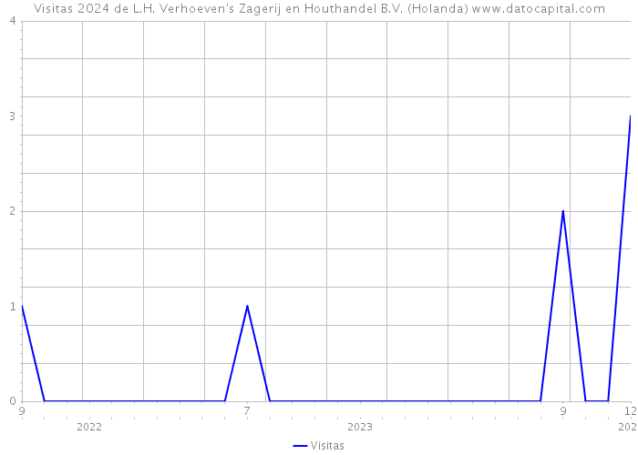 Visitas 2024 de L.H. Verhoeven's Zagerij en Houthandel B.V. (Holanda) 