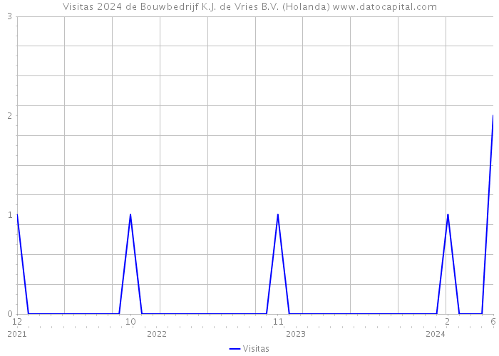 Visitas 2024 de Bouwbedrijf K.J. de Vries B.V. (Holanda) 