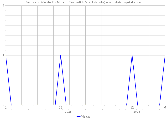 Visitas 2024 de Ds Milieu-Consult B.V. (Holanda) 