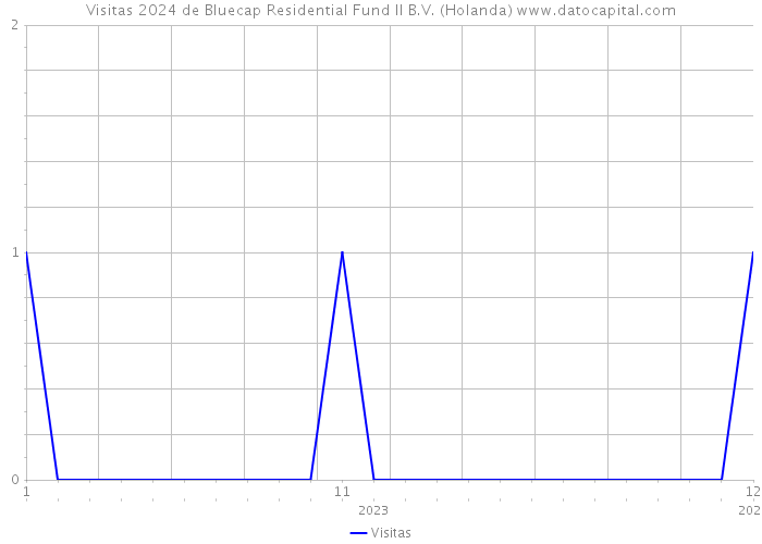 Visitas 2024 de Bluecap Residential Fund II B.V. (Holanda) 