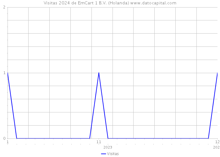 Visitas 2024 de EmCart 1 B.V. (Holanda) 