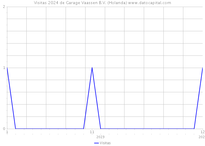 Visitas 2024 de Garage Vaassen B.V. (Holanda) 