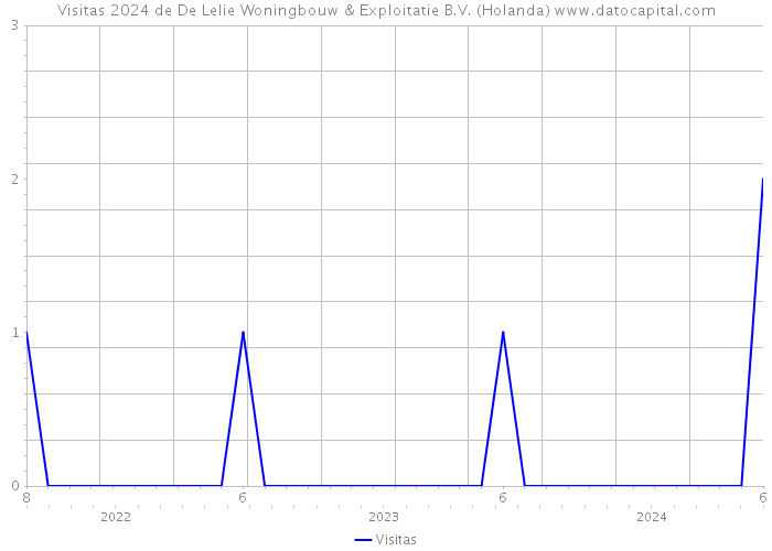 Visitas 2024 de De Lelie Woningbouw & Exploitatie B.V. (Holanda) 