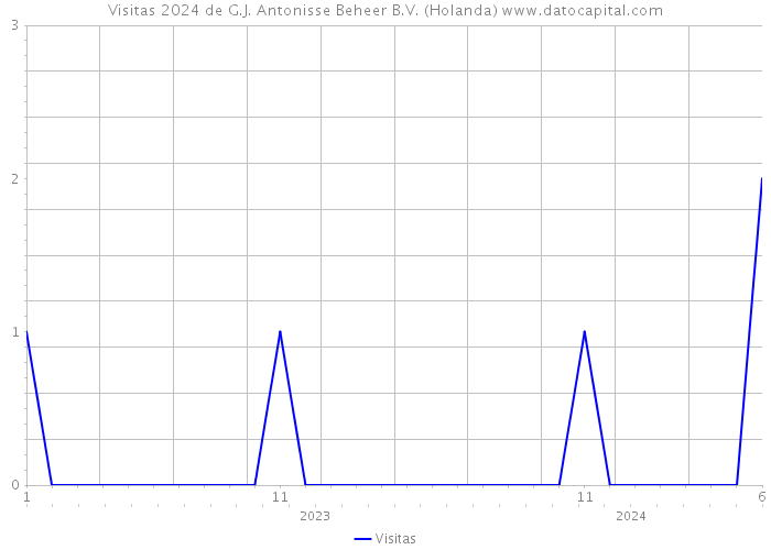 Visitas 2024 de G.J. Antonisse Beheer B.V. (Holanda) 