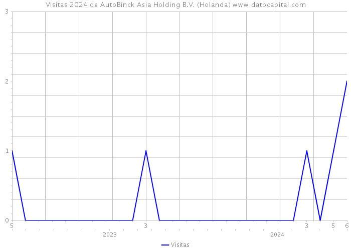 Visitas 2024 de AutoBinck Asia Holding B.V. (Holanda) 