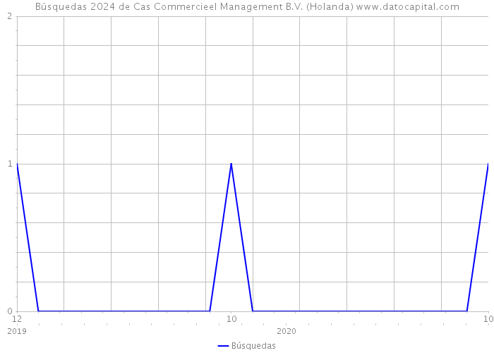 Búsquedas 2024 de Cas Commercieel Management B.V. (Holanda) 