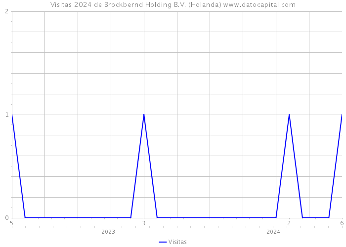 Visitas 2024 de Brockbernd Holding B.V. (Holanda) 