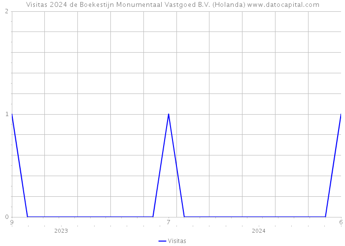 Visitas 2024 de Boekestijn Monumentaal Vastgoed B.V. (Holanda) 