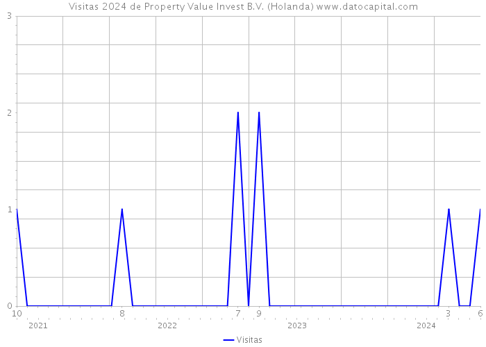 Visitas 2024 de Property Value Invest B.V. (Holanda) 