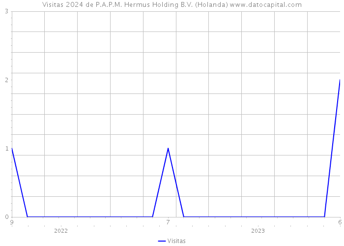 Visitas 2024 de P.A.P.M. Hermus Holding B.V. (Holanda) 