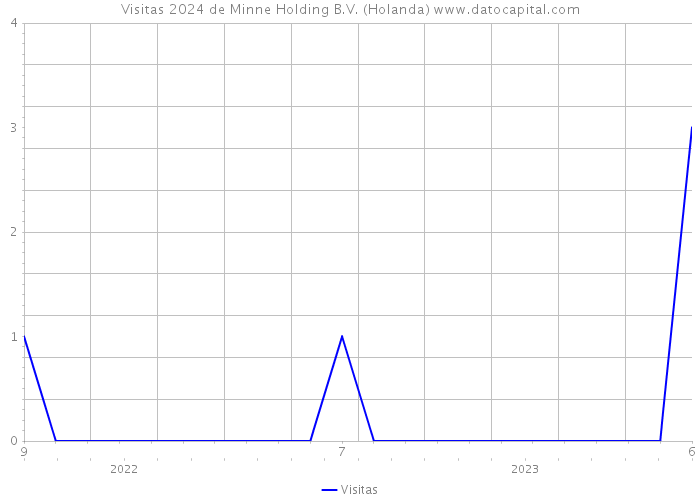 Visitas 2024 de Minne Holding B.V. (Holanda) 