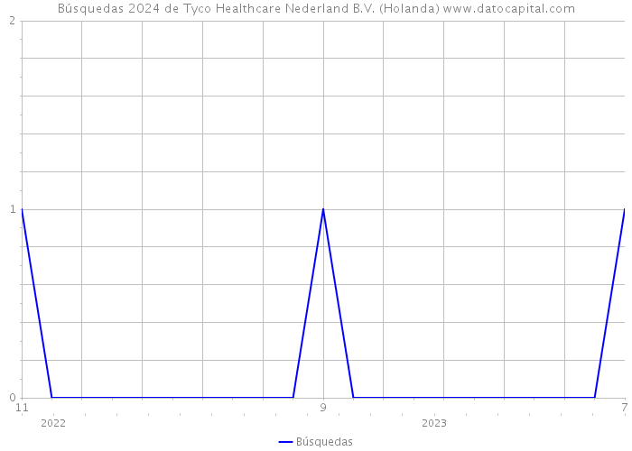 Búsquedas 2024 de Tyco Healthcare Nederland B.V. (Holanda) 