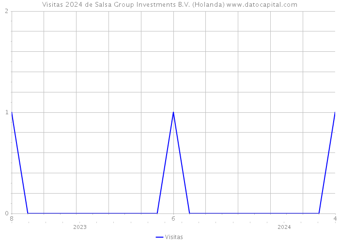 Visitas 2024 de Salsa Group Investments B.V. (Holanda) 