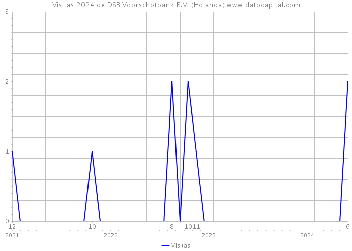Visitas 2024 de DSB Voorschotbank B.V. (Holanda) 