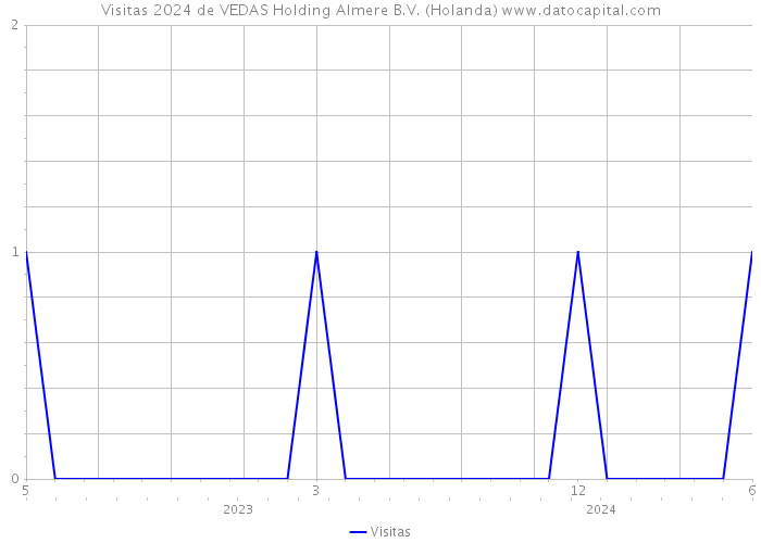 Visitas 2024 de VEDAS Holding Almere B.V. (Holanda) 