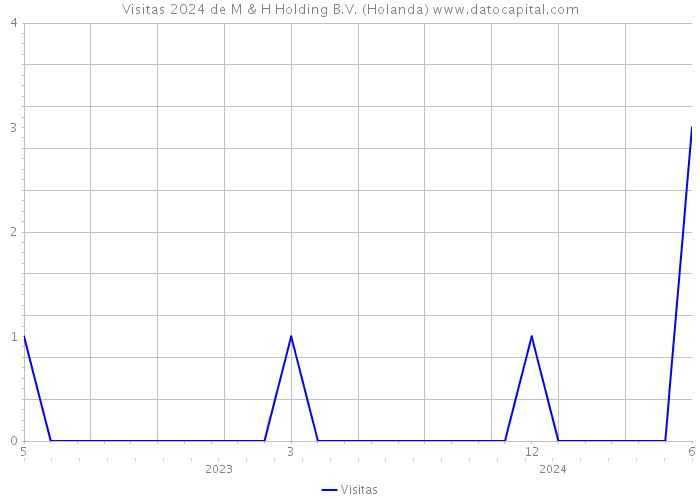 Visitas 2024 de M & H Holding B.V. (Holanda) 