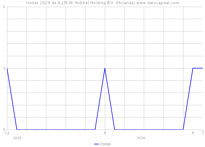 Visitas 2024 de A.J.M.W. Hobbel Holding B.V. (Holanda) 