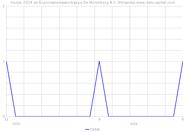 Visitas 2024 de Exploitatiemaatschappij De Molenberg B.V. (Holanda) 