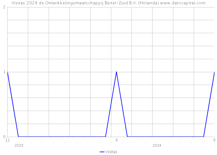 Visitas 2024 de Ontwikkelingsmaatschappij Beitel-Zuid B.V. (Holanda) 