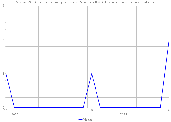 Visitas 2024 de Brunschwig-Schwarz Pensioen B.V. (Holanda) 