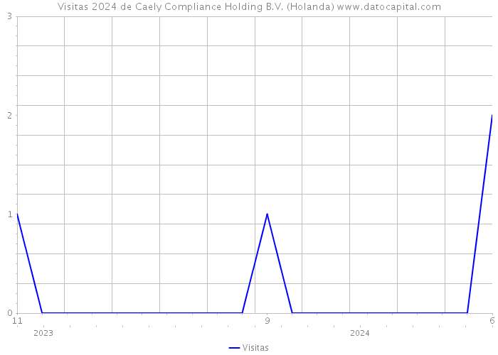 Visitas 2024 de Caely Compliance Holding B.V. (Holanda) 