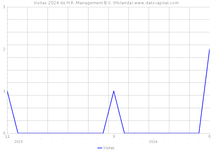 Visitas 2024 de H.R. Management B.V. (Holanda) 