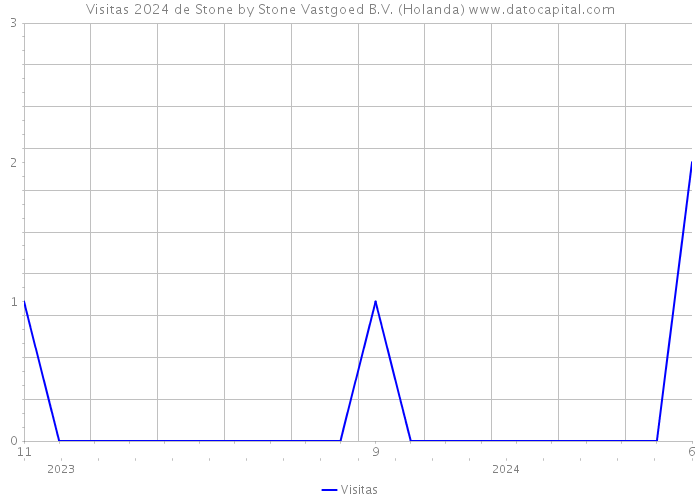 Visitas 2024 de Stone by Stone Vastgoed B.V. (Holanda) 