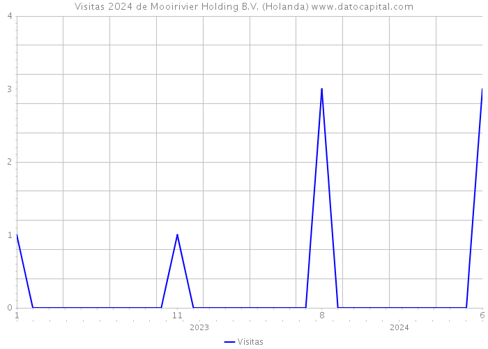 Visitas 2024 de Mooirivier Holding B.V. (Holanda) 