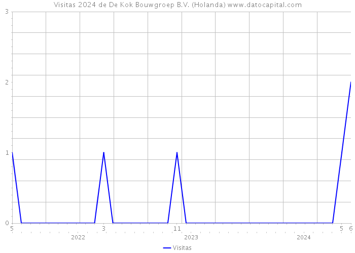 Visitas 2024 de De Kok Bouwgroep B.V. (Holanda) 