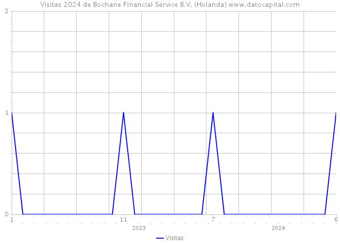 Visitas 2024 de Bochane Financial Service B.V. (Holanda) 