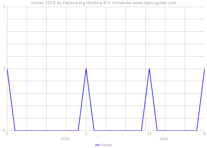 Visitas 2024 de Hazenberg Holding B.V. (Holanda) 