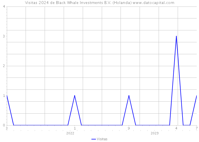 Visitas 2024 de Black Whale Investments B.V. (Holanda) 