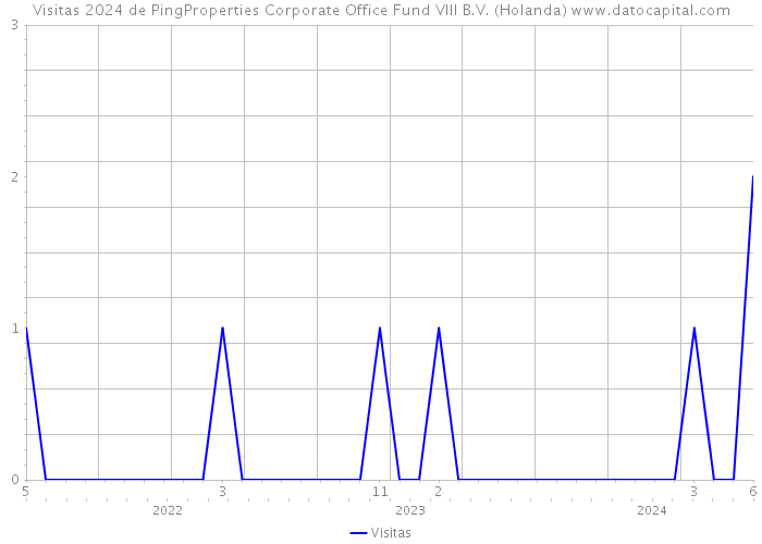 Visitas 2024 de PingProperties Corporate Office Fund VIII B.V. (Holanda) 