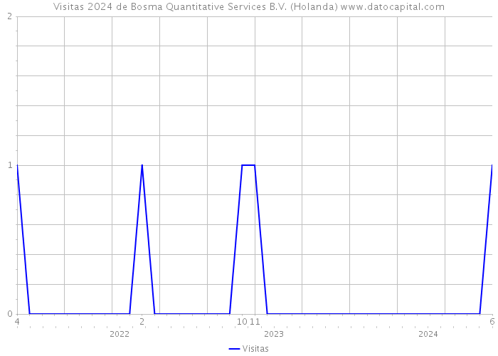 Visitas 2024 de Bosma Quantitative Services B.V. (Holanda) 