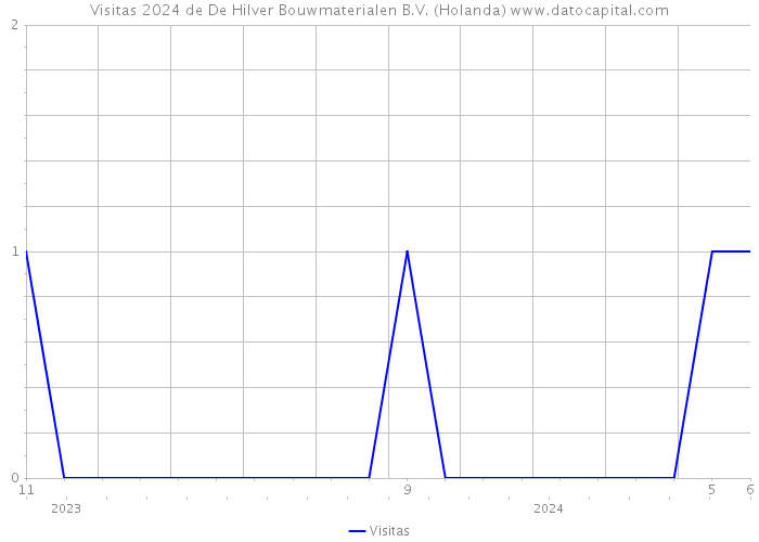 Visitas 2024 de De Hilver Bouwmaterialen B.V. (Holanda) 