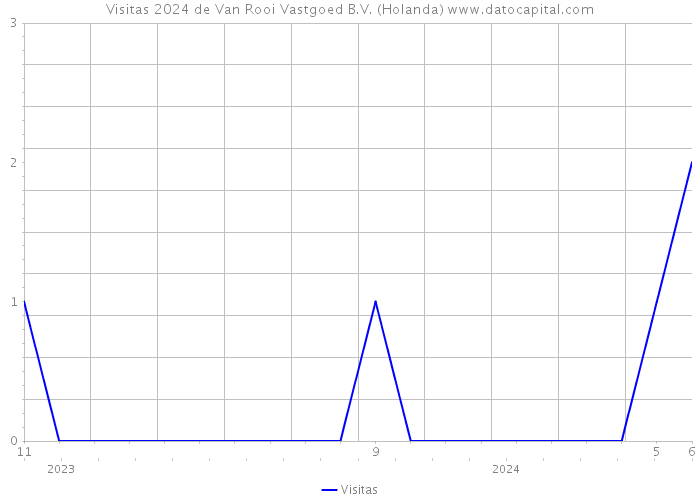 Visitas 2024 de Van Rooi Vastgoed B.V. (Holanda) 