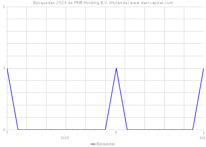 Búsquedas 2024 de PMB Holding B.V. (Holanda) 
